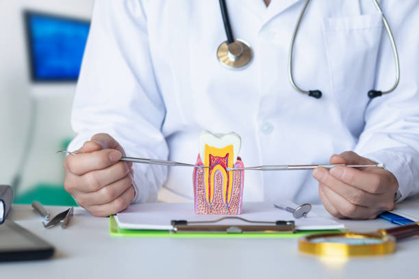 Best Cosmetic Emergency Dentistry in Columbus Grove, OH